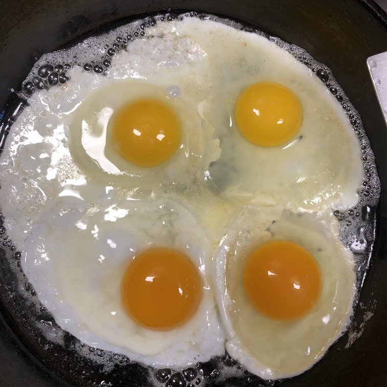 eggyolk.jpg